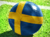 Svenska Herrlandslaget i Fotboll